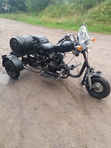 Muravei trike kilvissä, kuva 1