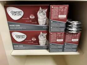 Maine coon märkäruokaa 17 laatikkoa, Kissojen tarvikkeet, Lemmikkieläimet, Hämeenlinna, Tori.fi Maine coon märkäruokaa 17 laatikkoa, Kissojen tarvikkeet, Lemmikkieläimet, Hämeenlinna, Tori.fi