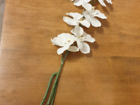 Orkidean oksa