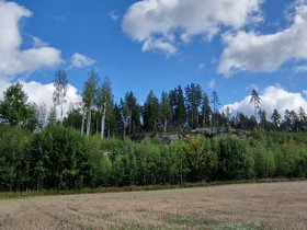 5000m², Söderkullantie 38, Sipoo, Tontit, Sipoo, Tori.fi 5000m², Söderkullantie 38, Sipoo, Tontit, Sipoo, Tori.fi
