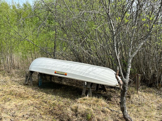 Suvi 460 vene ja airot