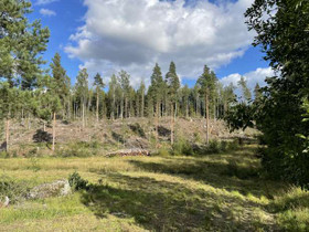 2.4 ha, Lempääläntie 756, Akaa, Tontit, Akaa, Tori.fi 2.4 ha, Lempääläntie 756, Akaa, Tontit, Akaa, Tori.fi
