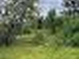 2.37 ha, Metsäpirtintie 19, Sotkamo, Tontit, Sotkamo, Tori.fi 2.37 ha, Metsäpirtintie 19, Sotkamo, Tontit, Sotkamo, Tori.fi