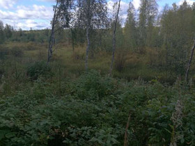 Pörsänmäentie, Iisalmi, Metsätilat ja maatilat, Iisalmi, Tori.fi Pörsänmäentie, Iisalmi, Metsätilat ja maatilat, Iisalmi, Tori.fi
