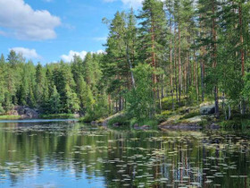 8382m², Ahvenjärvi, Ruovesi, Tontit, Ruovesi, Tori.fi