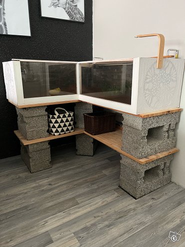 Terraario kilpikonnalle tmv.