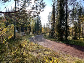1250m², Kellostapulintie 8 B, Kittilä, Tontit, Kittilä, Tori.fi 1250m², Kellostapulintie 8 B, Kittilä, Tontit, Kittilä, Tori.fi