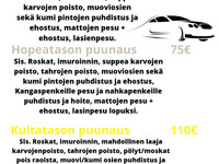 Autojen putsausta