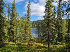 3570m², Porontima, Pitkäniemi Kortteli 8 tontti 2,, Tontit, Kuusamo, Tori.fi 3570m², Porontima, Pitkäniemi Kortteli 8 tontti 2,, Tontit, Kuusamo, Tori.fi