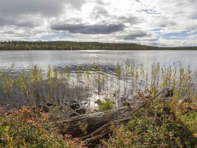 5710m², Rovaniementie (RA 8-2) Kortteli 8 tontti 2, Tontit, Rovaniemi, Tori.fi 5710m², Rovaniementie (RA 8-2) Kortteli 8 tontti 2, Tontit, Rovaniemi, Tori.fi