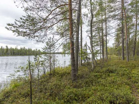 7902m², Rovaniementie (RA 9-1) Kortteli 9 tontti 1, Tontit, Rovaniemi, Tori.fi 7902m², Rovaniementie (RA 9-1) Kortteli 9 tontti 1, Tontit, Rovaniemi, Tori.fi