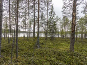 5754m², Rovaniementie (RA 8-1) Kortteli 8 tontti 1, Tontit, Rovaniemi, Tori.fi 5754m², Rovaniementie (RA 8-1) Kortteli 8 tontti 1, Tontit, Rovaniemi, Tori.fi