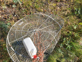 Yksinieluinen katiska /tarjoa!, Kalastustarvikkeet, Metsästys ja kalastus, Jyväskylä, Tori.fi Yksinieluinen katiska /tarjoa!, Kalastustarvikkeet, Metsästys ja kalastus, Jyväskylä, Tori.fi