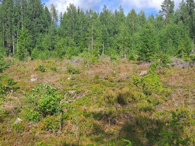 5640m², Mäkituvantie 87950, Kuluntalahti, Tontit, Kajaani, Tori.fi 5640m², Mäkituvantie 87950, Kuluntalahti, Tontit, Kajaani, Tori.fi
