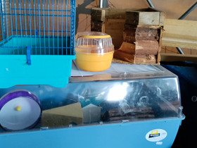 Hamsterinhäkki oheistarvikkeita, Jyrsijät, Lemmikkieläimet, Padasjoki, Tori.fi Hamsterinhäkki oheistarvikkeita, Jyrsijät, Lemmikkieläimet, Padasjoki, Tori.fi