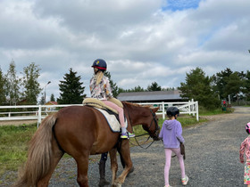 Ratsastuskengät 34/35, Satulat ja varusteet, Hevoset ja hevosurheilu, Akaa, Tori.fi Ratsastuskengät 34/35, Satulat ja varusteet, Hevoset ja hevosurheilu, Akaa, Tori.fi