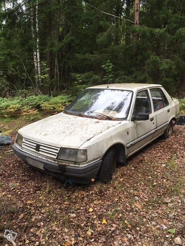 Peugeot 309