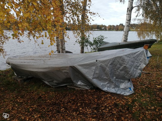 Paavo Holma, kuva 1