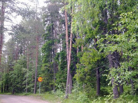 3970m², Leiritie, Olhava/ii, Ii, Tontit, Ii, Tori.fi 3970m², Leiritie, Olhava/ii, Ii, Tontit, Ii, Tori.fi