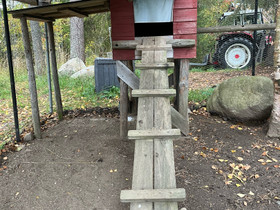 Muninta koppi, Muut eläintarvikkeet, Lemmikkieläimet, Kontiolahti, Tori.fi Muninta koppi, Muut eläintarvikkeet, Lemmikkieläimet, Kontiolahti, Tori.fi