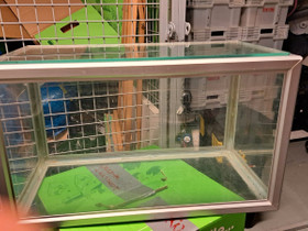 Akvaario 63L, Kalat ja akvaariot, Lemmikkieläimet, Helsinki, Tori.fi Akvaario 63L, Kalat ja akvaariot, Lemmikkieläimet, Helsinki, Tori.fi