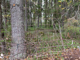 Harjateräsverkko, Muu rakentaminen ja remontointi, Rakennustarvikkeet ja työkalut, Paltamo, Tori.fi Harjateräsverkko, Muu rakentaminen ja remontointi, Rakennustarvikkeet ja työkalut, Paltamo, Tori.fi