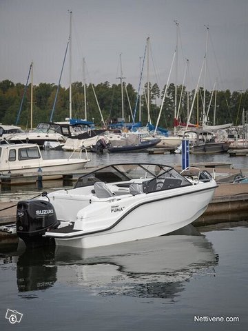 Silver Puma BR Myymälässä Esillä, kuva 1