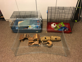Hamsterin häkkikokonaisuus tarvikkeineen, Jyrsijät, Lemmikkieläimet, Tampere, Tori.fi Hamsterin häkkikokonaisuus tarvikkeineen, Jyrsijät, Lemmikkieläimet, Tampere, Tori.fi