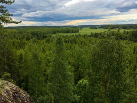 Vuorenmäentie, Haapa-Kimola, Iitti, Metsätilat ja maatilat, Iitti, Tori.fi Vuorenmäentie, Haapa-Kimola, Iitti, Metsätilat ja maatilat, Iitti, Tori.fi