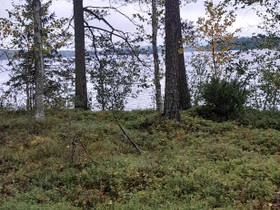 Rovaniementie 350, Ylitorniornio, Metsätilat ja maatilat, Ylitornio, Tori.fi