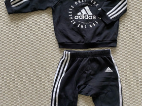 VARATTU Adidas collegesetti 80, Lastenvaatteet ja kengät, Kajaani, Tori.fi VARATTU Adidas collegesetti 80, Lastenvaatteet ja kengät, Kajaani, Tori.fi