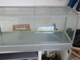 Akvaario/terraario, Muut eläintarvikkeet, Lemmikkieläimet, Pertunmaa, Tori.fi Akvaario/terraario, Muut eläintarvikkeet, Lemmikkieläimet, Pertunmaa, Tori.fi