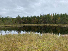 Haaralanjärvi, Himanka, Kalajoki, Metsätilat ja maatilat, Kalajoki, Tori.fi