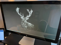 Apple Thunderbolt Display + usb-c adap.