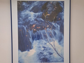 Taulu 50x70 cm, Taulut, Sisustus ja huonekalut, Iisalmi, Tori.fi Taulu 50x70 cm, Taulut, Sisustus ja huonekalut, Iisalmi, Tori.fi