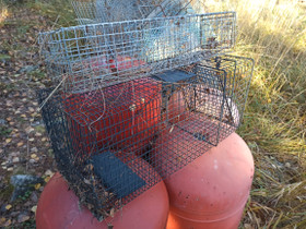 Loukkuja eläinten pyydystämiseen, Metsästystarvikkeet, Metsästys ja kalastus, Kuopio, Tori.fi Loukkuja eläinten pyydystämiseen, Metsästystarvikkeet, Metsästys ja kalastus, Kuopio, Tori.fi