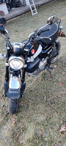 Honda Monkey 125 7