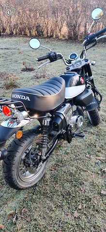 Honda Monkey 125 3