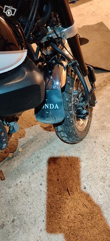 Honda Monkey 125 10