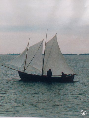 Puinenpurjevene, kuva 1