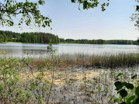 1.37 ha, Osmajärvi, Itkola Kortteli 2, tontti 2, Leppävirta, Tontit, Leppävirta, Tori.fi