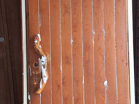 Ulko-ovi, Ikkunat, ovet ja lattiat, Rakennustarvikkeet ja työkalut, Taipalsaari, Tori.fi Ulko-ovi, Ikkunat, ovet ja lattiat, Rakennustarvikkeet ja työkalut, Taipalsaari, Tori.fi