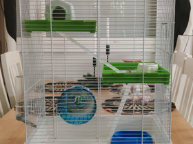 Hamsterin häkki, Jyrsijät, Lemmikkieläimet, Lahti, Tori.fi Hamsterin häkki, Jyrsijät, Lemmikkieläimet, Lahti, Tori.fi