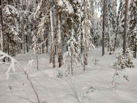 1850m², Pitkäjärventie, Ylläsjärvi, Kittilä, Tontit, Kittilä, Tori.fi 1850m², Pitkäjärventie, Ylläsjärvi, Kittilä, Tontit, Kittilä, Tori.fi