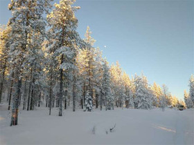 1600m², Soutajakankaantie, Pelkosenniemi, Tontit, Pelkosenniemi, Tori.fi 1600m², Soutajakankaantie, Pelkosenniemi, Tontit, Pelkosenniemi, Tori.fi