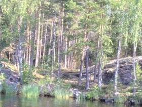5500m², Lapinsalonsaari 48, Savitaipale, Tontit, Savitaipale, Tori.fi