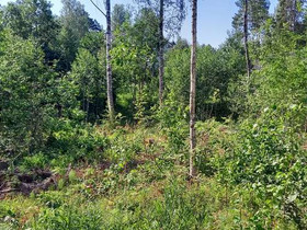 720m², Koivissillankuja tontti 2, Vihti, Tontit, Vihti, Tori.fi 720m², Koivissillankuja tontti 2, Vihti, Tontit, Vihti, Tori.fi