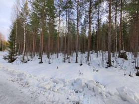 8110m², Ylä-Keitele, Solisniemi Tontti 33, Viitasa, Tontit, Viitasaari, Tori.fi 8110m², Ylä-Keitele, Solisniemi Tontti 33, Viitasa, Tontit, Viitasaari, Tori.fi