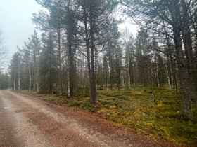 5000m², Möykkysentie 93, Kittilä, Tontit, Kolari, Tori.fi 5000m², Möykkysentie 93, Kittilä, Tontit, Kolari, Tori.fi