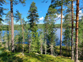 5600m², Pieni-Tevani Otonniementie, kortteli 1 ton, Tontit, Ruokolahti, Tori.fi 5600m², Pieni-Tevani Otonniementie, kortteli 1 ton, Tontit, Ruokolahti, Tori.fi